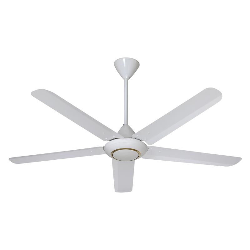 How Can a Ceiling Fan Transform Your Home Comfort?